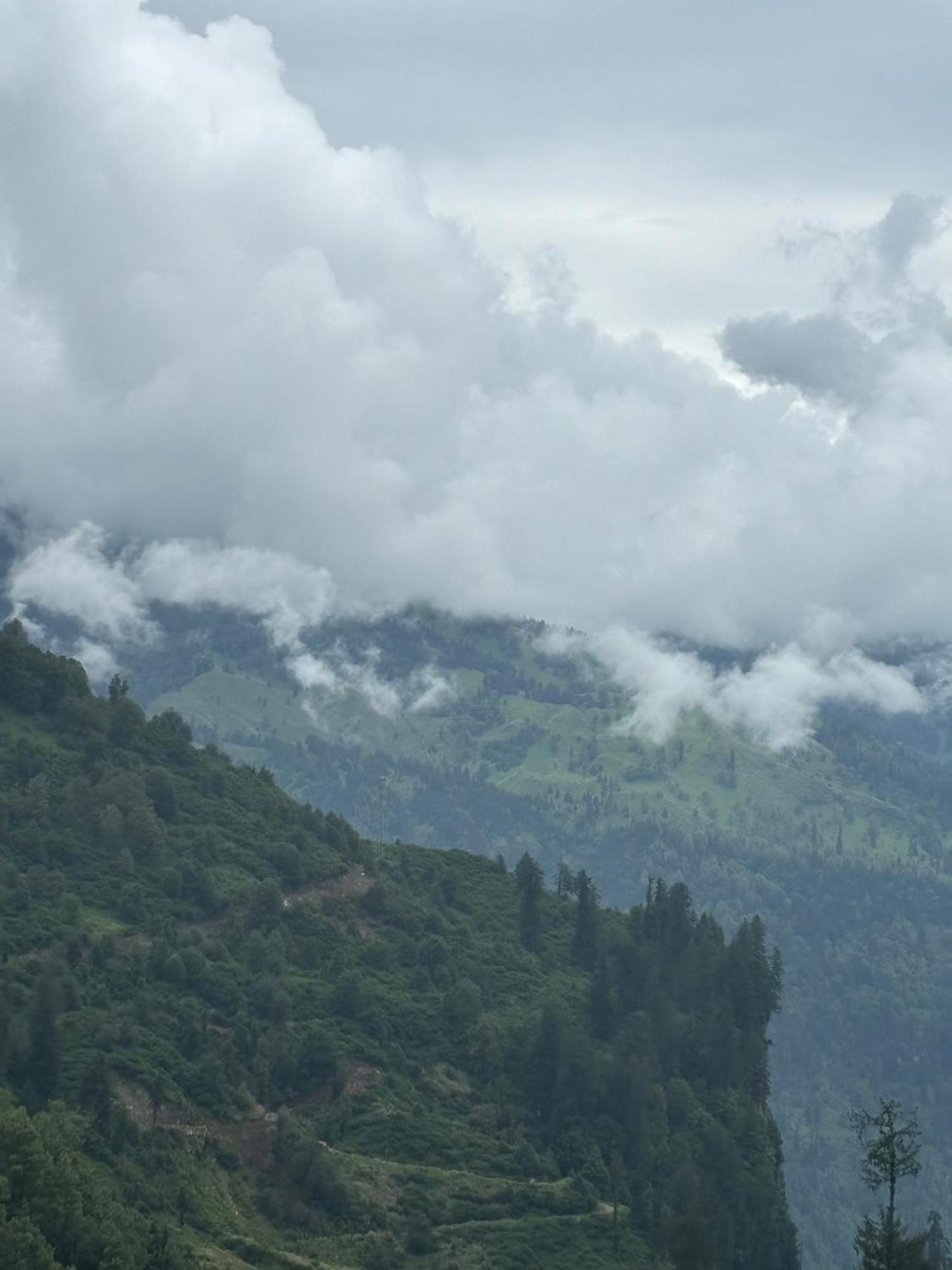 Urban Wave 2Bed Rooms By The North Edge Kasauli Kültér fotó